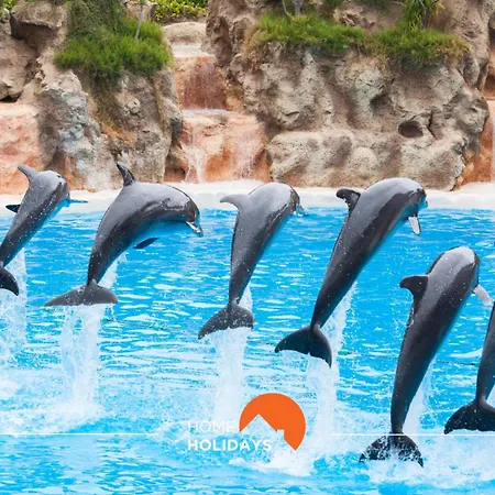 #081 T1 Vale Mangude 312 By Holidays * 알부페이라