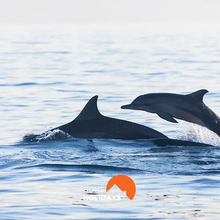 Apartmán #081 T1 Vale Mangude 312 By Holidays